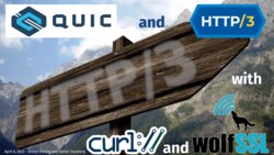 Thumbnail image of QUIC and HTTP/3 with curl and wolfSSL