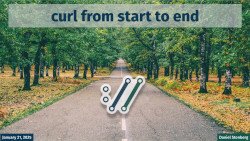 Thumbnail image of curl from start to end